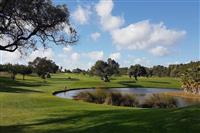 Quinta da Ria Golfplatz